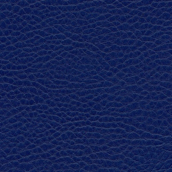 Kunstledervariante: Omega royal