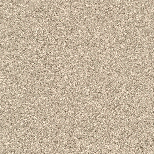 Kunstledervariante:  Amarena birch