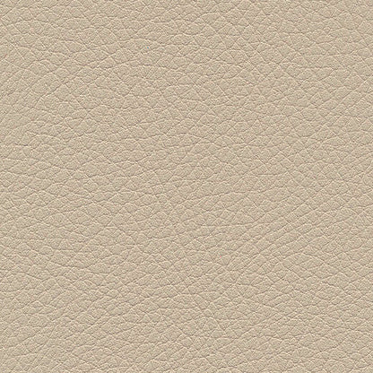 Kunstledervariante:  Amarena birch