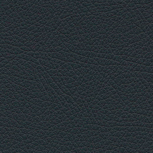 Kunstledervariante:  Amarena black