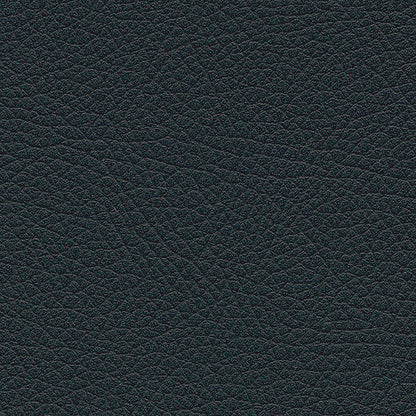 Kunstledervariante:  Amarena black
