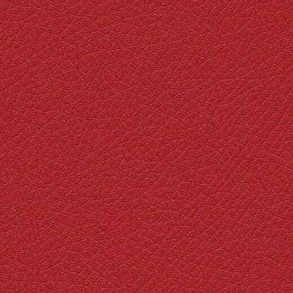 Kunstledervariante:  Amarena cherry