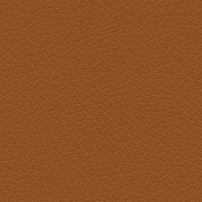 Kunstledervariante:  Amarena cognac