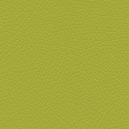 Kunstledervariante:  Amarena lime