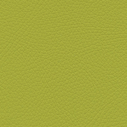 Kunstledervariante:  Amarena lime