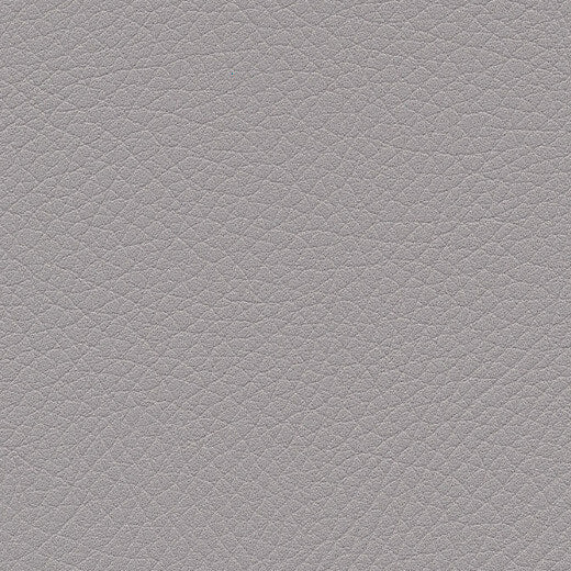 Kunstledervariante: Amarena platinum