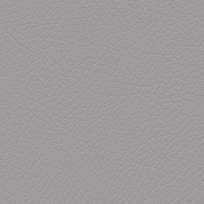 Kunstledervariante: Amarena platinum