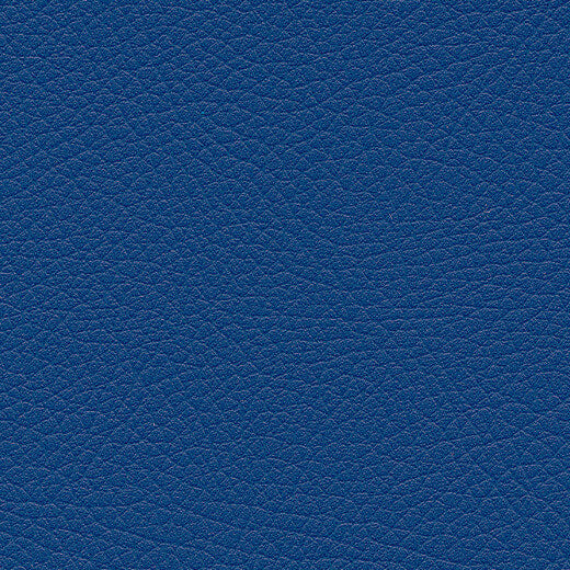 Kunstledervariante:  Amarena royal