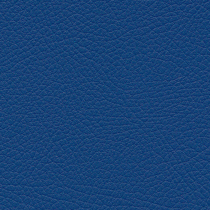 Kunstledervariante:  Amarena royal