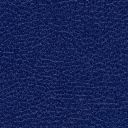 Kunstledervariante: Omega royal