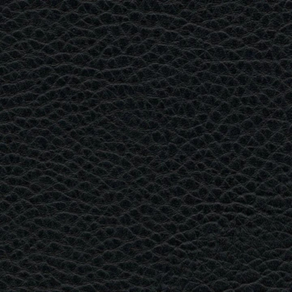 Kunstledervariante: Omega schwarz