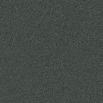 Kunstledervariante: Comfort shark-grey