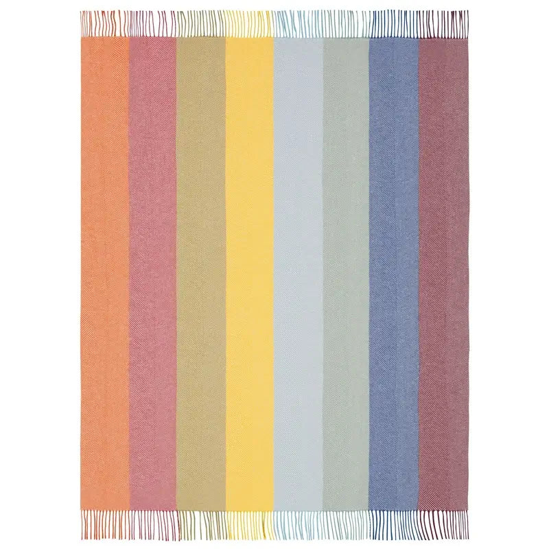 Bunte Wohndecke mit Fransen & Streifen – 130 × 170 cm Colour Lines
